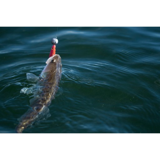 Жевательная резинка Fox Rage Slick Shad 7 см для молодого окуня