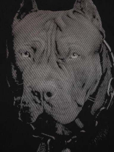Питбуль Футболка PitBull XXL 1989 года рождения