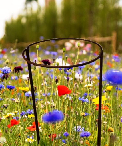 Podpora podpórki metalowa do krzewów kwiatów roślin okrągła 60cm róż mocna