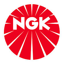 R0451B-8 NGK IRYDIUM HONDA CRF 250R 10-22