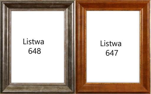РАМА РАЗМЕРОМ 58 ММ ПРЫЖКА