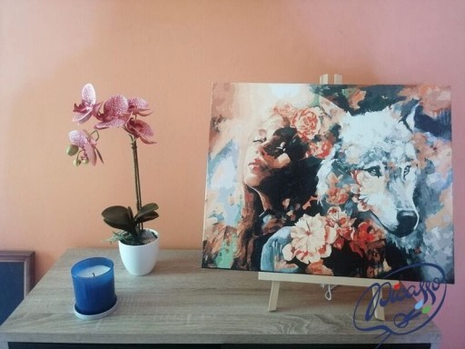 Покраска, установленная номерами Ipicasso 40x50 см на раме