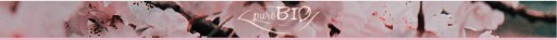 Хайлайтер-пудра - сменная вставка zloty-blush 03