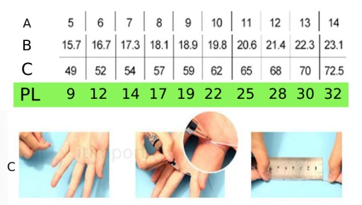 Wolfram Wolfring EU19 US09 Ring