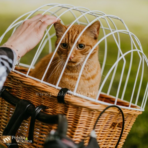 ПЛЕТЕНАЯ ВЕЛОСИПЕДНАЯ КОРЗИНА ДЛЯ ПЕРЕВОЗКИ СОБАКИ И КОШКИ, НАТУРАЛЬНАЯ КОРЗИНА, БЕЛАЯ КЕРОВКА