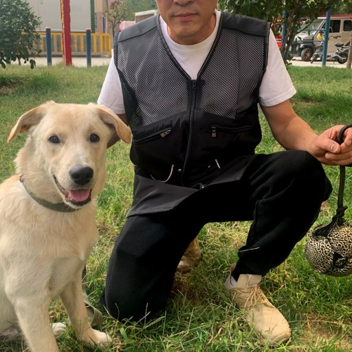 Жилет для тренировок Handler Training Dog Handler L, черный