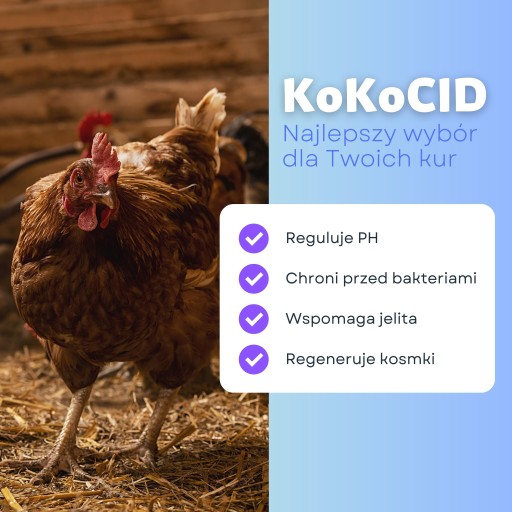 KokoCid zakwaszacz anyż dla drobiu kur niosek 1 kg