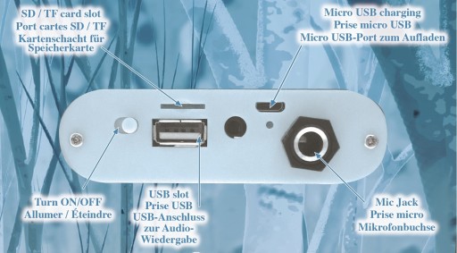 Светодиодный микрофон Frozen 2 для караоке Bluetooth-динамик