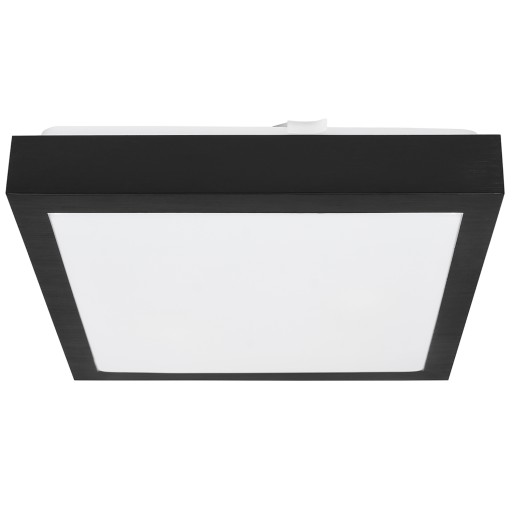 Светильник Настенный потолочный светильник Plafon 2x E27 LED