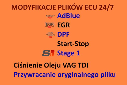 файл DPF файлы ЭБУ круглосуточное сотрудничество 7 дней в неделю деактивация DPF