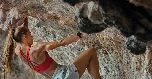 Умные часы GARMIN Fenix ​​7S Серебристо-серые
