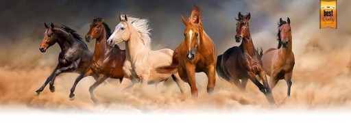 ОДИНАРНАЯ Упряжь – РАЗМЕР ПОНИ