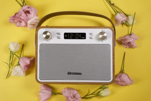 Розетка - портативное радио Bluetooth Manta RDI915X
