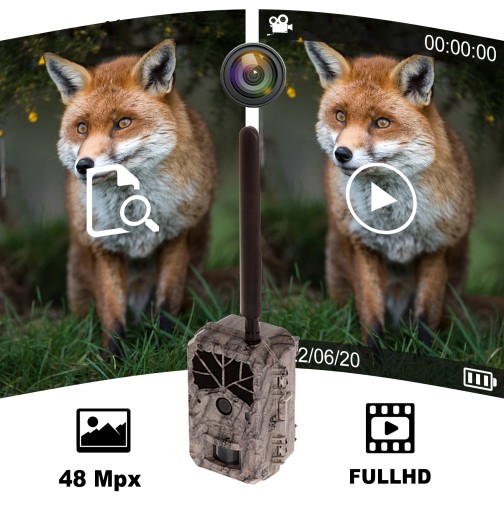 Kamera leśna fotopułapka HC-BG636-48M 4G LTE