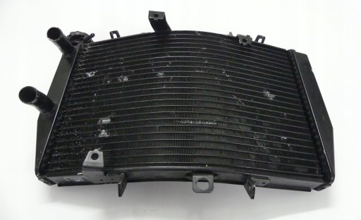 Полем Триумф скорость тройной 1050 11 + CH0 Cooler
