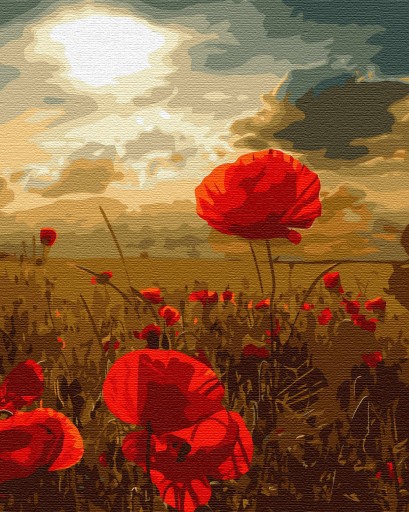 КРАСКИ ПО ЦИФРАМ В РАМКЕ Цветы Картины по номерам ARTNAPI