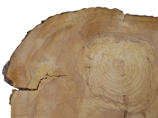 Доска для сервировки Apple Slice 62x51см