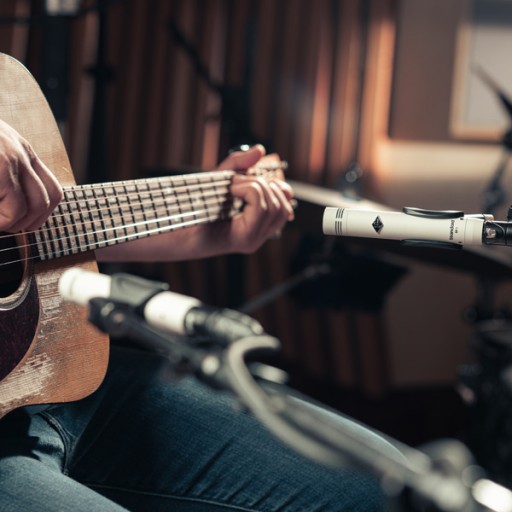 Universal Audio SP-1 — Пара конденсаторных микрофонов