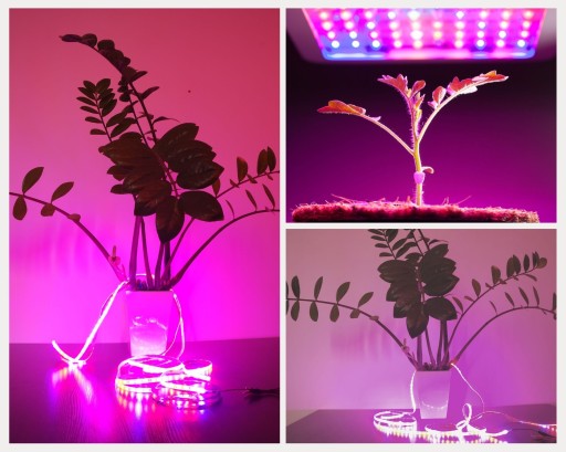 КОМПЛЕКТ светодиодного освещения GROW для выращивания растений, 5 м