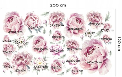ПИОНЫ цветы ПИОНЫ Наклейки на стену 200x120