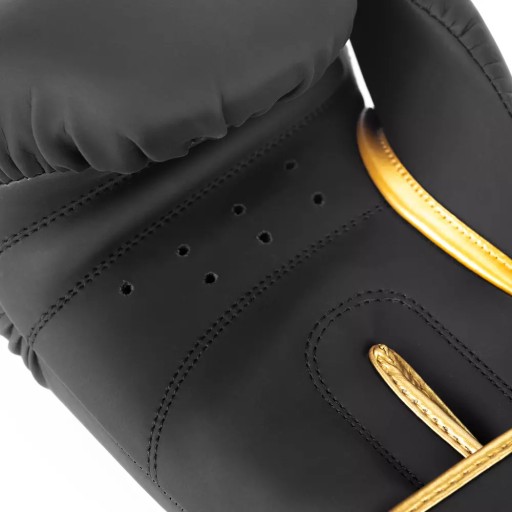 БОКСЕРСКИЕ ПЕРЧАТКИ GOLD DRAGON DBX BUSHIDO ДЛЯ ТРЕНИРОВКИ СПАРИНГА, 16 унций