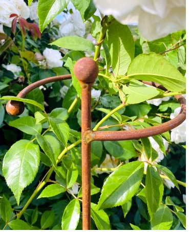 Podpora podpory do roślin krzewów kwiatów monstery metalowa podpórka 80cm