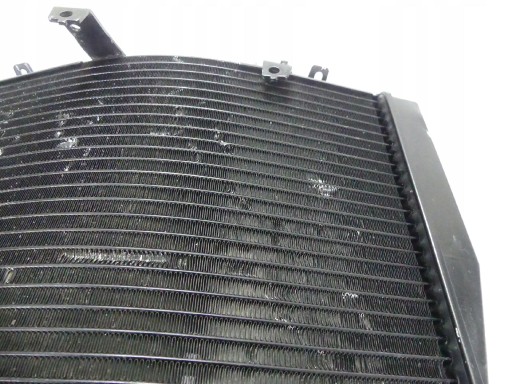 Полем Триумф скорость тройной 1050 11 + CH0 Cooler