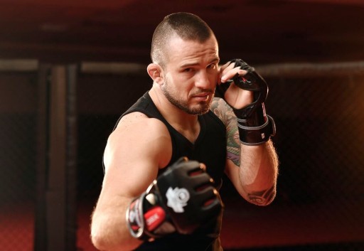 ПЕРЧАТКИ KRAV MAGA MMA ТРЕНИРОВОЧНЫЕ РУЧКИ НАТУРАЛЬНАЯ КОЖА DBX BUSHIDO L