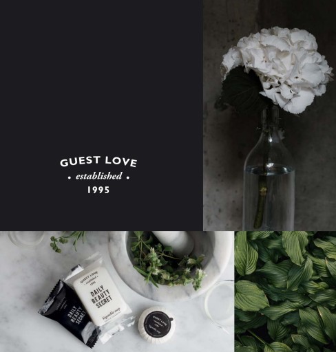 Набор косметики для ванны и подарка 3x480 мл GUEST LOVE