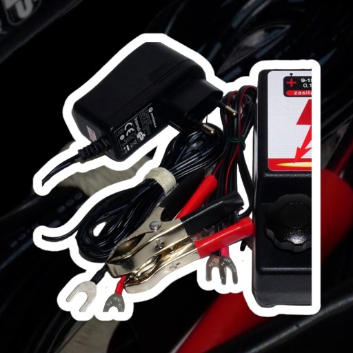 Elektryzator/pastuch dla psów, krów, koni - REXIO - 0,6J, mocny 12000V!