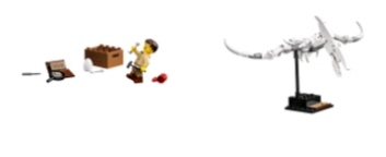 LEGO Ideas 21320 Только скелет птеранодона + описание