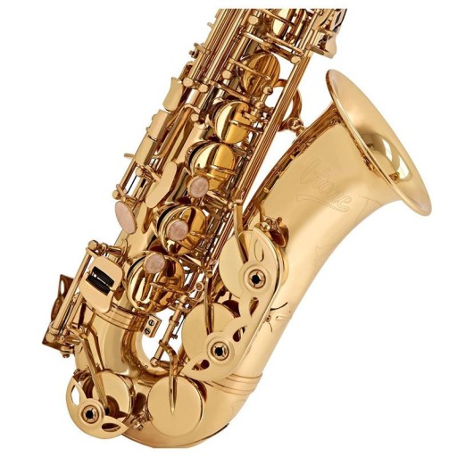 Альт-саксофон V-TONE AS 100, мундштук, ремешок, трость, футляр.