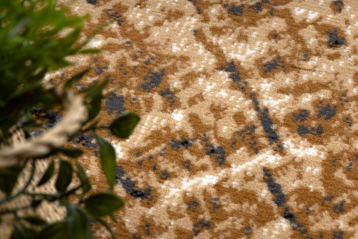 КОВЕР MORAD 160x220 BCF СТВОЛ ДЕРЕВА ЗЕРНО #M699