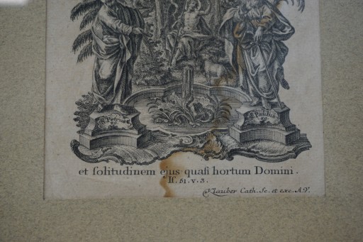 Братья Клаубер, гравюра XVIII века, июньский календарь, Александр Томас, Познань