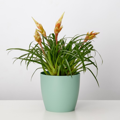 Крышка для цветочного горшка Garronda, 3 шт., 14x14 см GD-DON-DAMAT