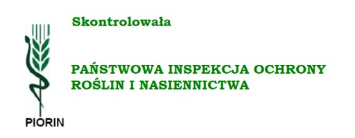 Ciemiernik wschodni DOUBLE ELLEN RED - zimozielony, czerwony półpełny kwiat