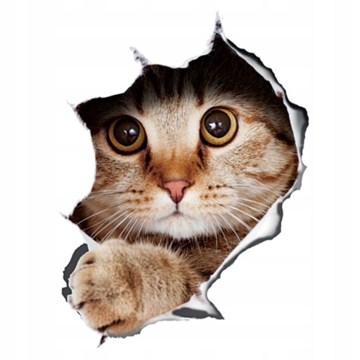 NAKLEJKA na samochód KOTY KOTKI CATS 21*29 cm
