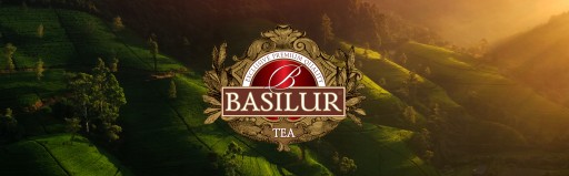 BASILUR Cold Brew «Ассорти», упаковка 10x2 г (4963)