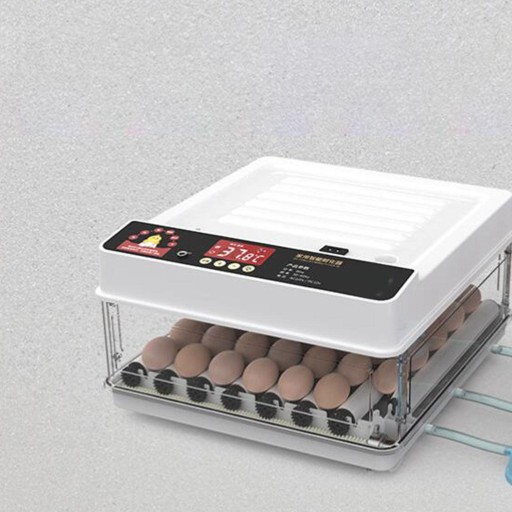 Интеллектуальный инкубатор для яиц со светодиодной подсветкой 36Eggs