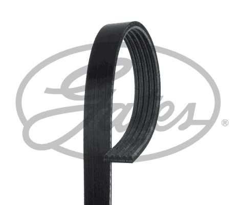 РЕМЕНЬ PK GATES 5PK768