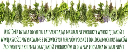 Хвощ полевой, сушеная трава 200г ЛУБЗИОЛЕК