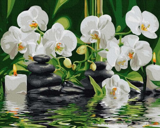 Картина для КРАСКИ ПО ЦИФРАМ Без рамки ARTNAPI