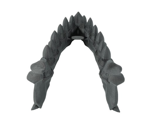 Челюсть дракона с набором кубиков из драконьих зубов — Dragon Teeth Dice Set