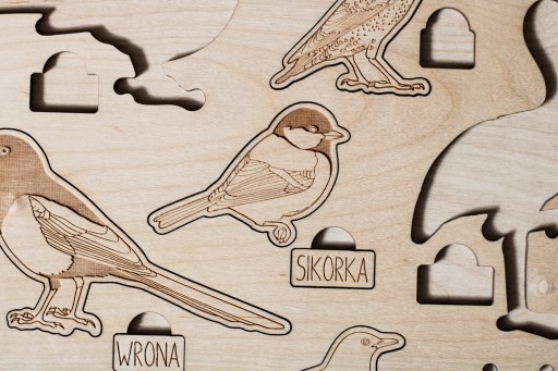 Układanka gatunki ptaków ze sklejki