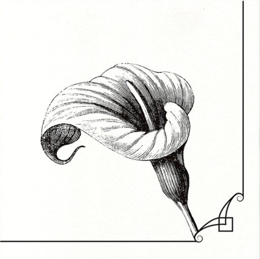 САЛФЕТКИ MEMORY FLOWER FLUSHELINE - 40x40CM - 50 ШТ - 9721