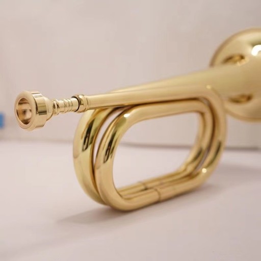 Мундштук для трубы Horn SET