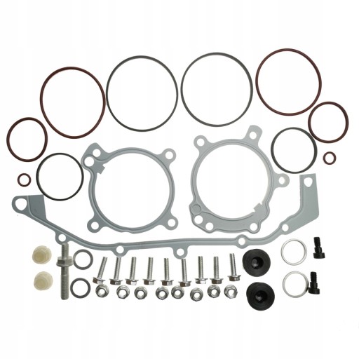 BMW VANOS двойные уплотнения ГРМ M52TU M54 M56