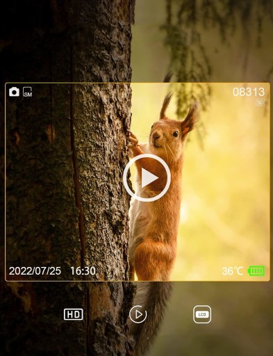ЛЕСНАЯ КАМЕРА С ДИНАМИКОМ ЛОВУШКА IR 4K 36MPx UHD GPRS И КАРТА 32 ГБ С 8 БАТАРЕЯМИ