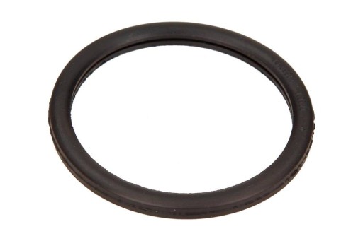 USZCZELKA TERMOSTATU RENAULT MEGANE 1,4 16V 00- 1-890-568