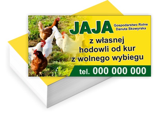 Wizytówki firmowe Foliowane 100szt duży wybór SPRZEDAŻ JAJ WIEJSKICH